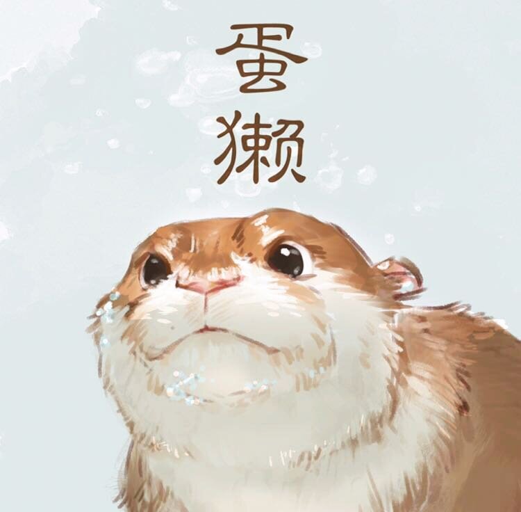蛋獭家[满49元包邮]