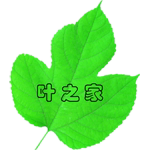 叶之家
