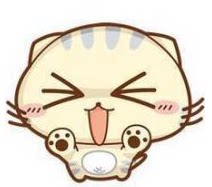 hm护美居品