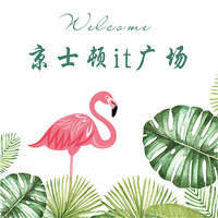 京士顿it广场