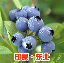 印象东北特产店