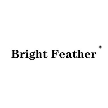 BRIGHT FEATHER 赤羽手工正品男鞋的LOGO