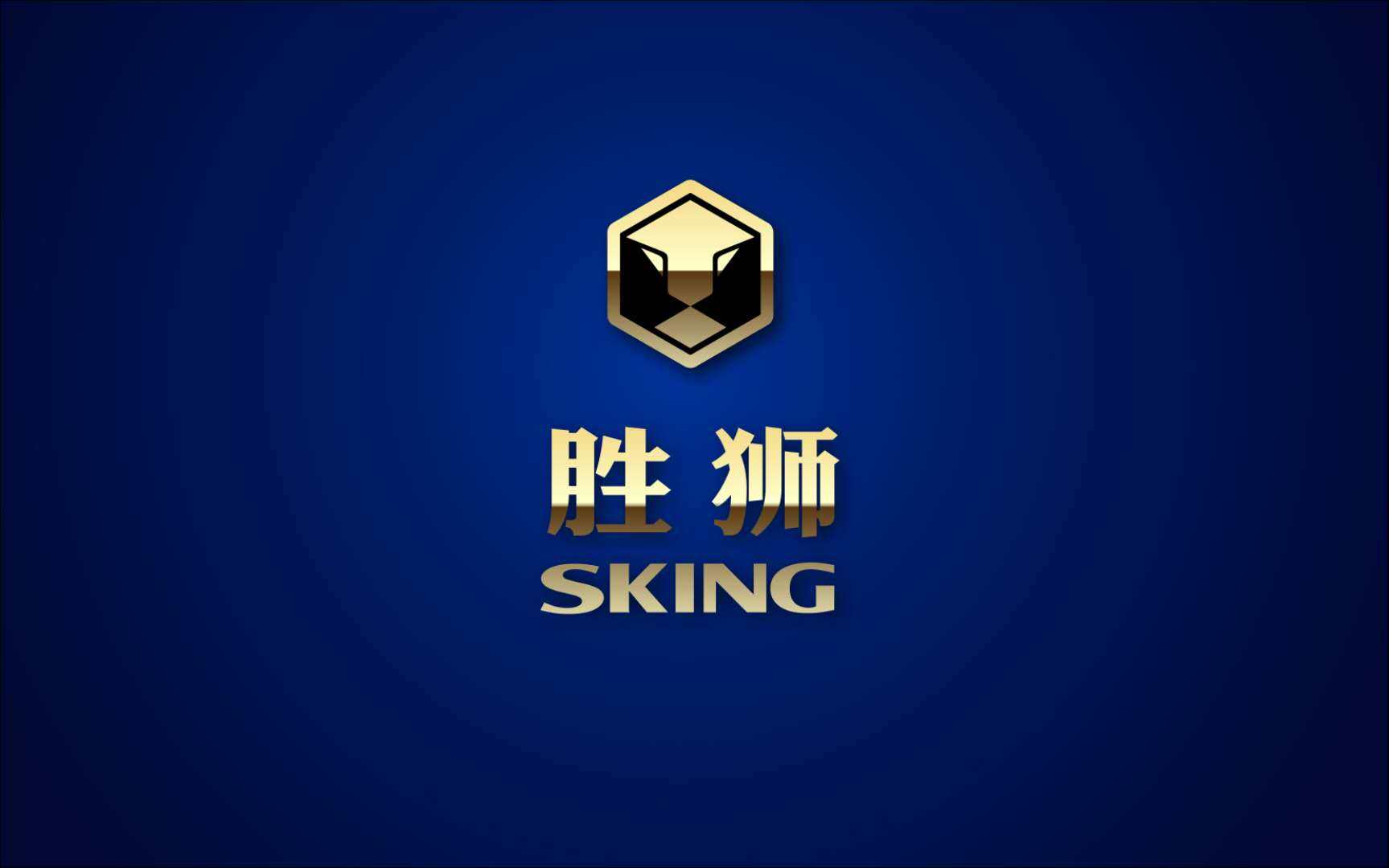 胜狮数码旗舰店