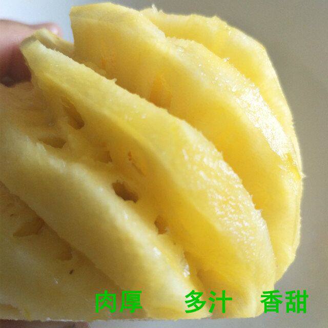 珍珍果乐园的LOGO