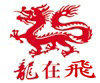 龙在飞电器专营店的LOGO
