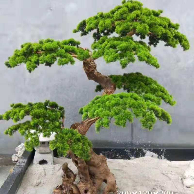 华美创艺生活馆