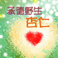 承德野生杏仁老店的LOGO