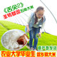 田园家族农家米铺的LOGO