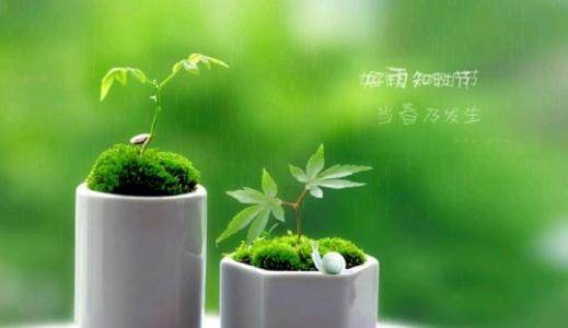 轻姿体型管理
