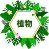 植物护发品牌店