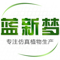 蓝新梦花坊