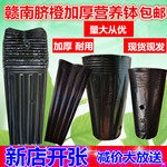 绿植营养钵