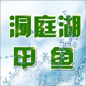 湘银洞庭水产