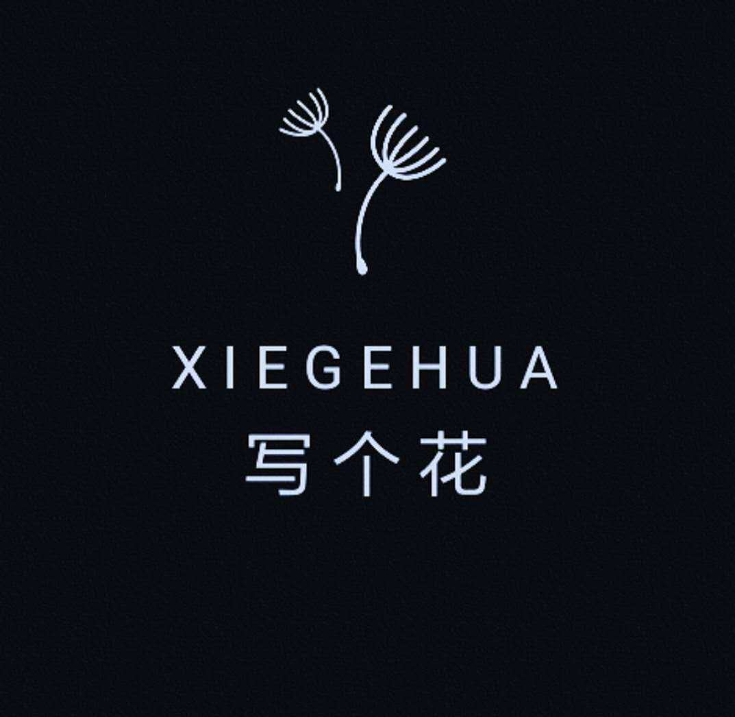 写个花的LOGO
