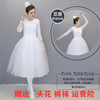 舞艺芭蕾服饰有限公司的LOGO