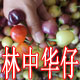 华仔的农家店的LOGO