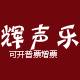 正品辉声乐拾音器的LOGO