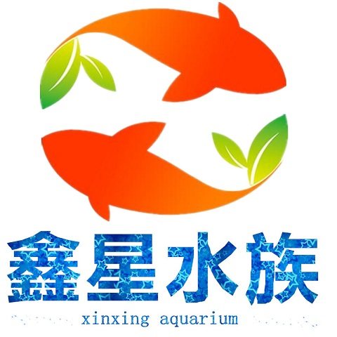 鑫星水族鱼缸水族用品