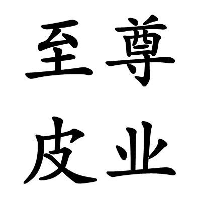 至尊皮业