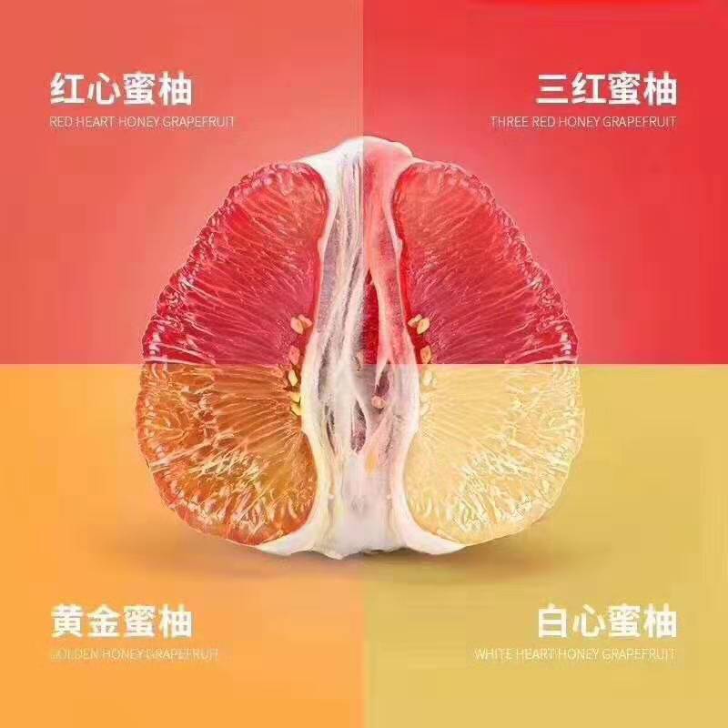 龙璇果园