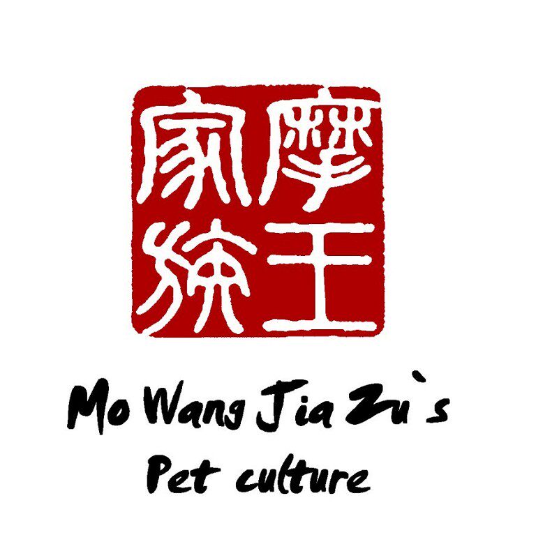 摩王家族文化馆
