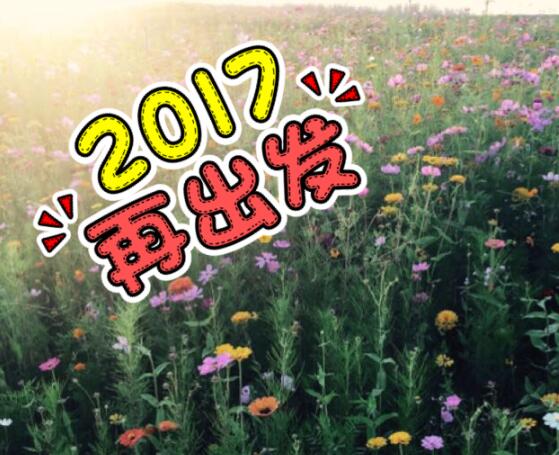 维爱宝贝童装工厂店