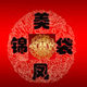 美凤锦袋的LOGO