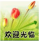 林鑫医疗商城的LOGO