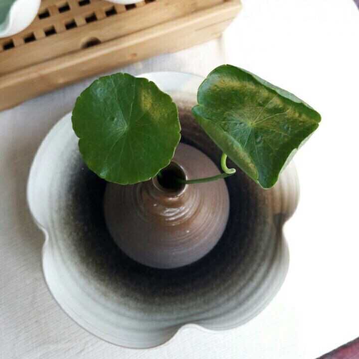 锦田食器