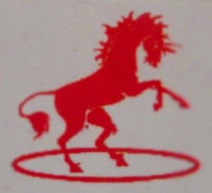 申溢车品的LOGO