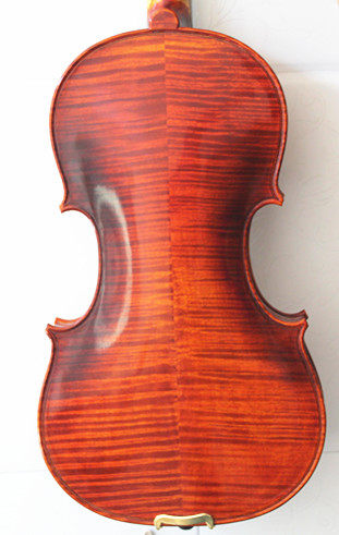 Violin金维乐器