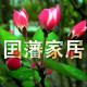 国藩家居的LOGO