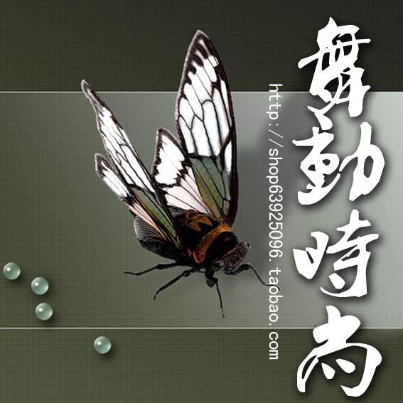 如此喜欢8888
