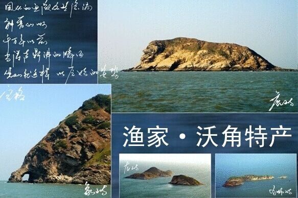 东山岛沈船长海鲜总部的LOGO