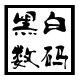 黑白数码