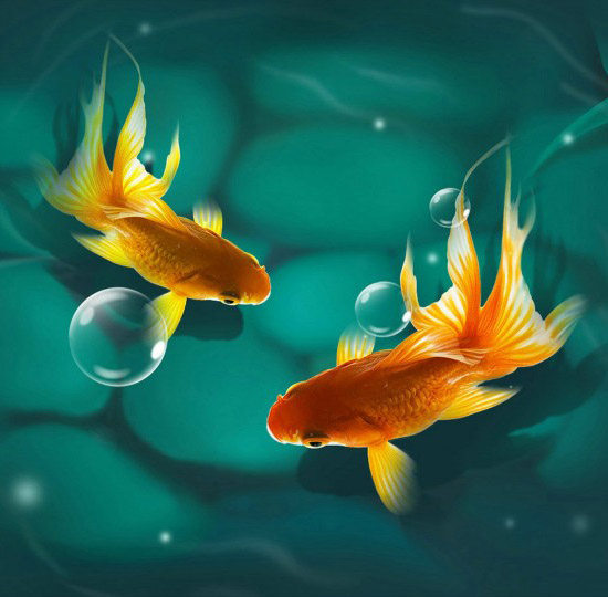 振东水族的LOGO