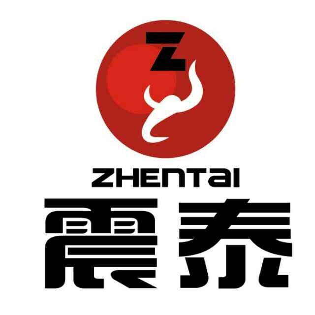 震泰电子工厂
