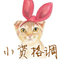 小资格调的手工定制