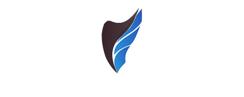 飞翔信息技术