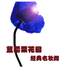 蓝罂粟花园经典名妆阁