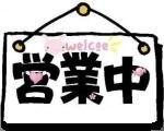 上海力旭电子