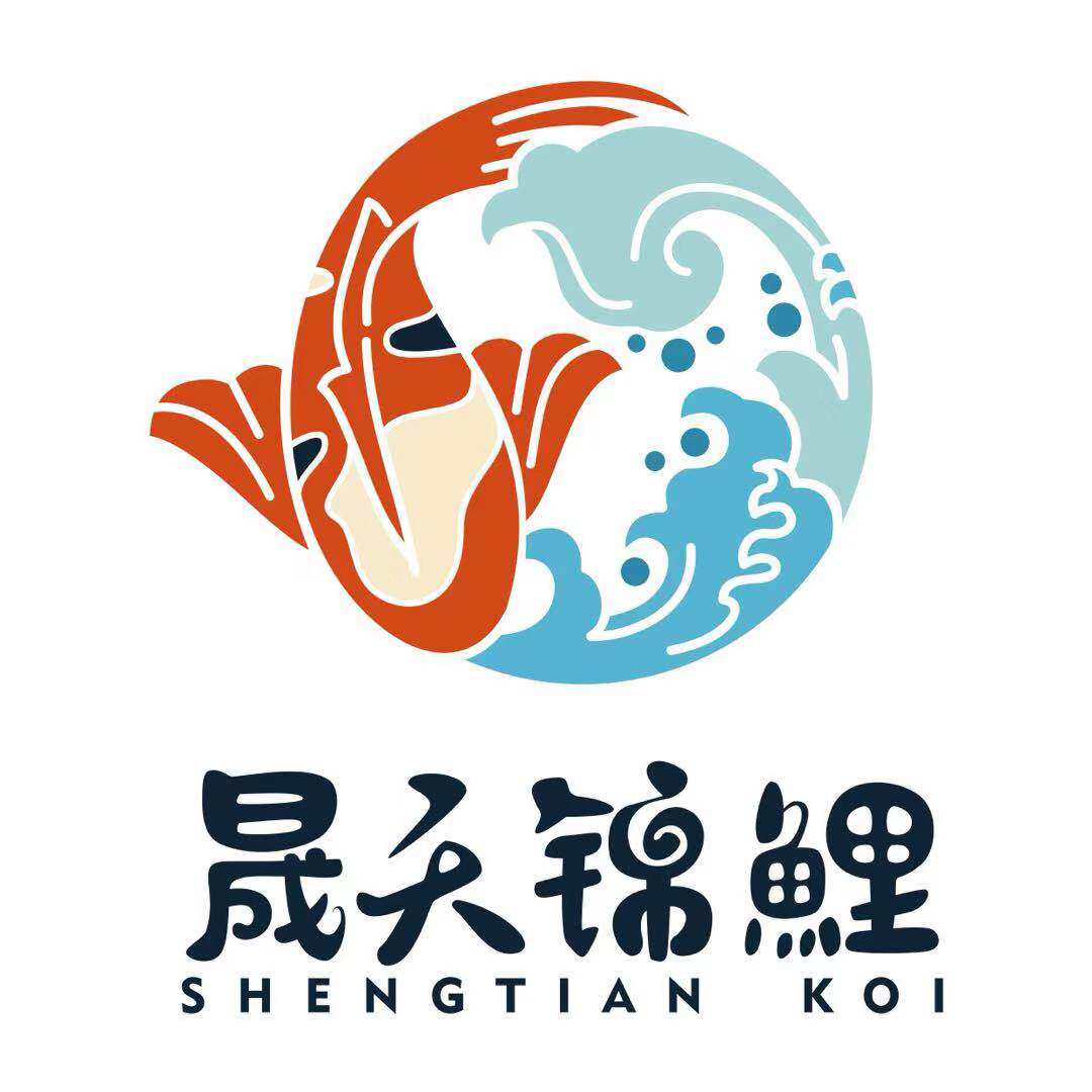 晟天锦鲤