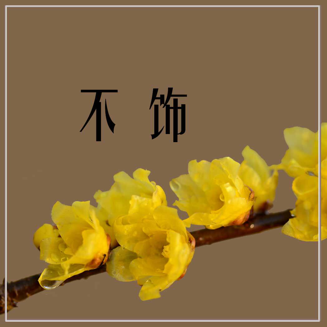 不饰手工
