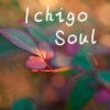Ichigo Soul