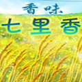 七里香饰品