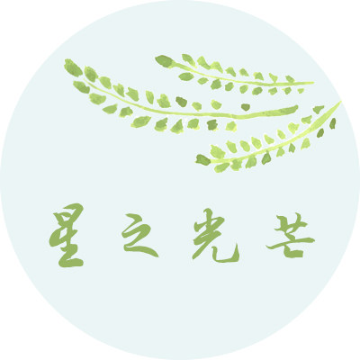 星之光芒
