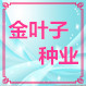 金叶子种业的LOGO