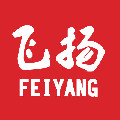 飞扬电子商务