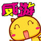 威游旗舰店