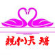 亲似天鹅